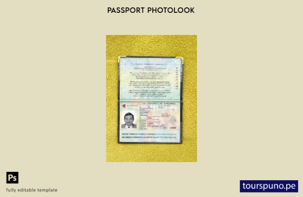 listo para imprimir la plantilla de presentación fotográfica del pasaporte de Zi